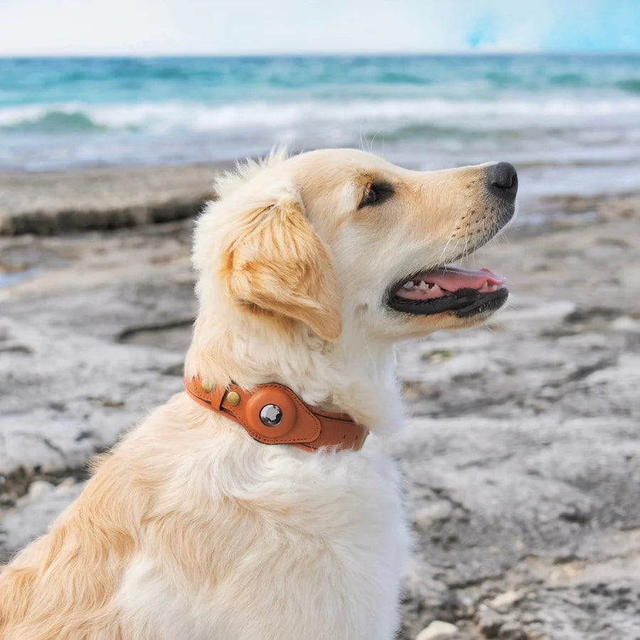 Upgrade Safety with The Perfect AirTag Collar!